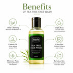 SkinSis Tea Tree Face Wash